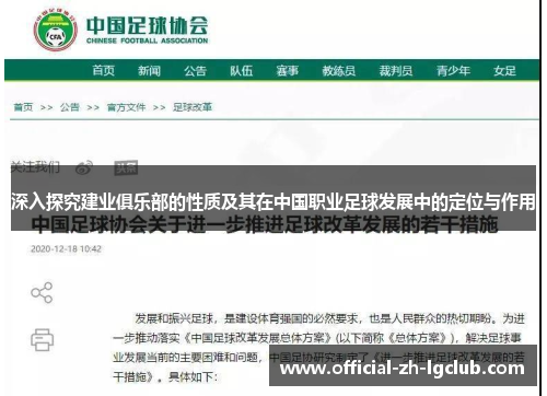 深入探究建业俱乐部的性质及其在中国职业足球发展中的定位与作用
