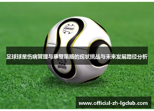 足球球星伤病管理与康复策略的现状挑战与未来发展路径分析