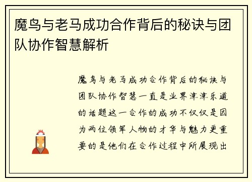 魔鸟与老马成功合作背后的秘诀与团队协作智慧解析